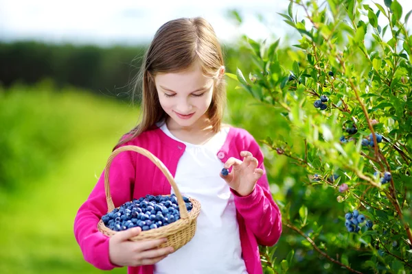 Menina colhendo frutas frescas — Fotografia de Stock