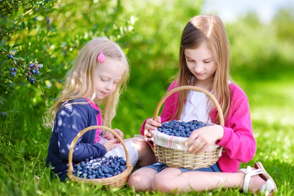 Sisters picking fresh berries — Stock Photo, Image