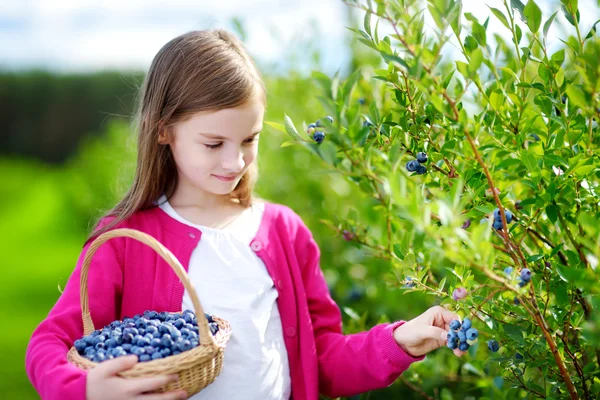 Gadis memetik buah berry segar — Stok Foto