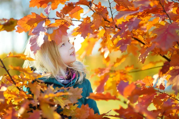 Menina bonito — Fotografia de Stock