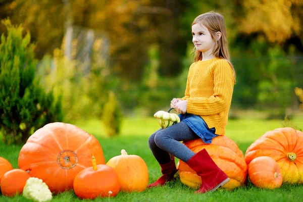 Adorable niña en parche de calabaza — Foto de Stock