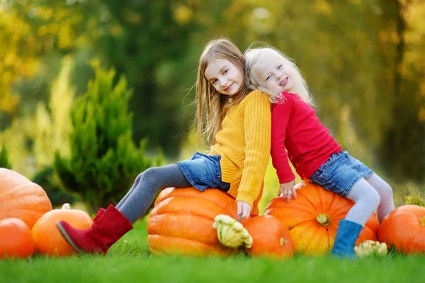 Sisters having fun on pumpkin patch — Stock Photo, Image