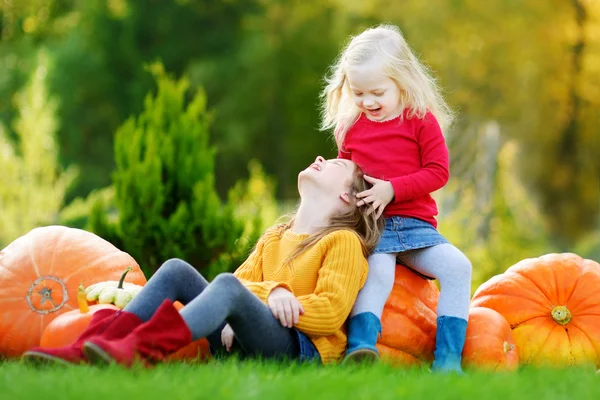 Hermanas divirtiéndose en parche de calabaza — Foto de Stock