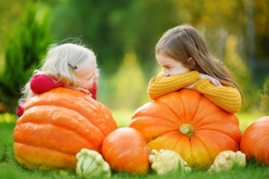 Kabak yama üzerinde eğleniyor kız