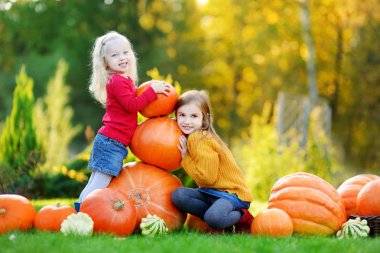 Kabak yama üzerinde eğleniyor kız