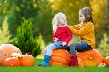 Kabak yama üzerinde eğleniyor kız