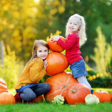 Kabak yama üzerinde eğleniyor kız