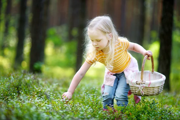 Adorable petite fille cueillant des bleuets — Photo