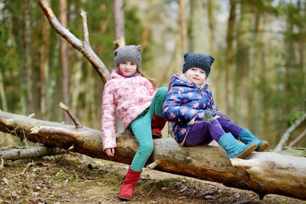 Hermanitas graciosas sentadas en el tronco —  Fotos de Stock