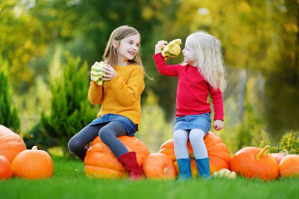 Zusters plezier op pompoen patch — Stockfoto