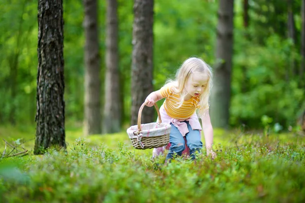 Adorabile bambina raccogliendo mirtilli — Foto Stock