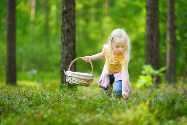 Adorable little girl picking blueberries — Stock Photo, Image