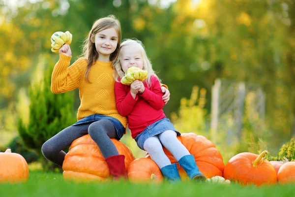 Systrar som har roligt på pumpkin patch — Stockfoto