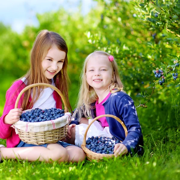 Little sisters picking fresh berries — Stock Photo, Image