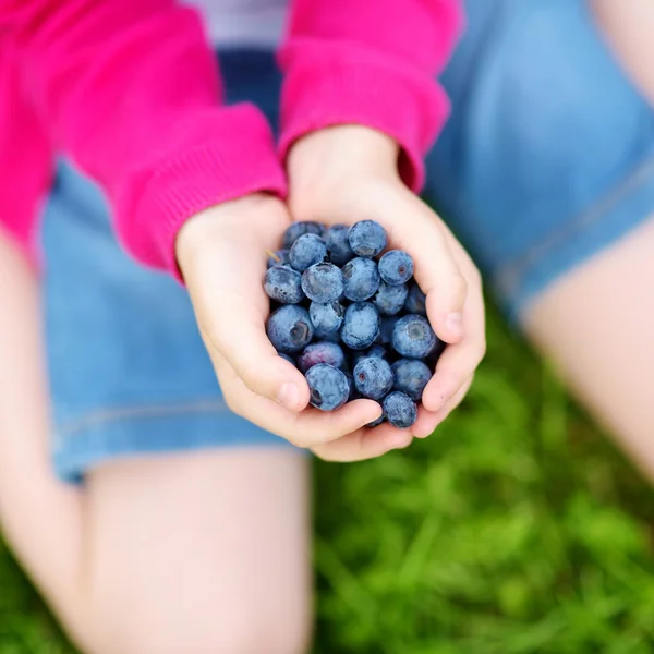 Hands holding fresh blueberries — Stock Photo, Image