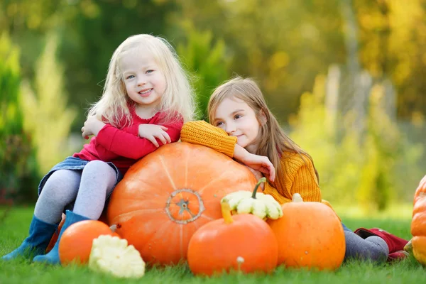 Sisters having fun on pumpkin patch Stock Picture