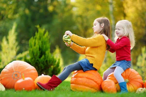 Sisters having fun on pumpkin patch Stock Image