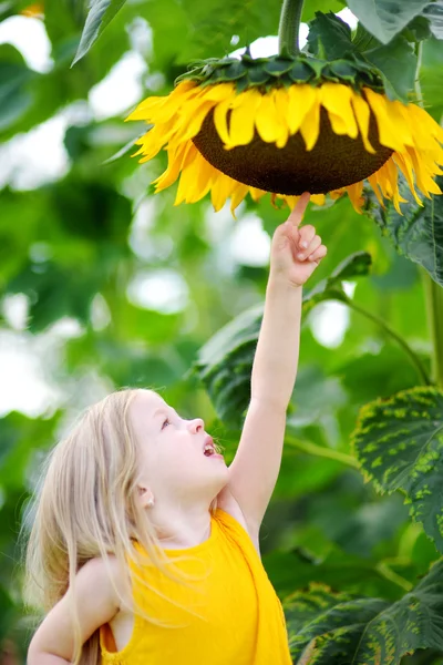 Petite fille atteignant un tournesol — Photo