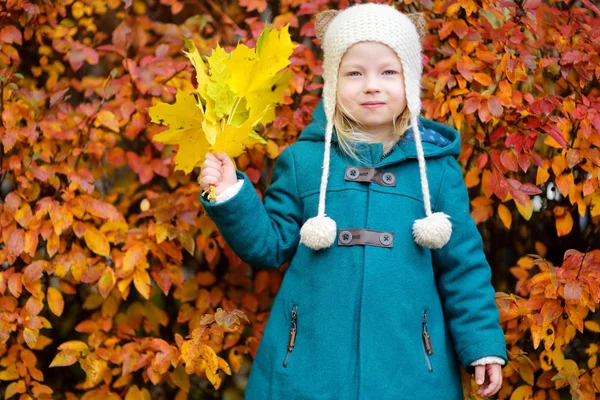 Cute little girl having fun on beautiful autumn day — Stock Photo, Image