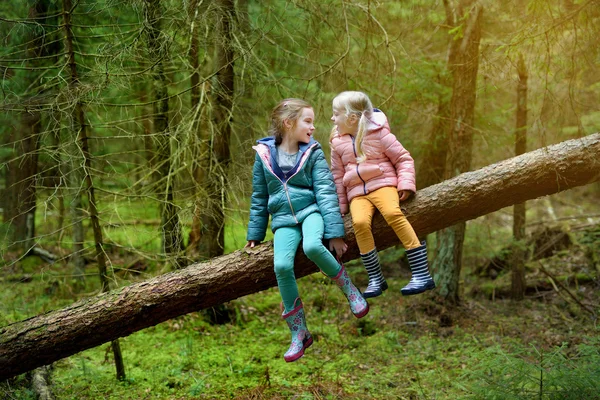 Sœurs s'amusent pendant la randonnée en forêt — Photo