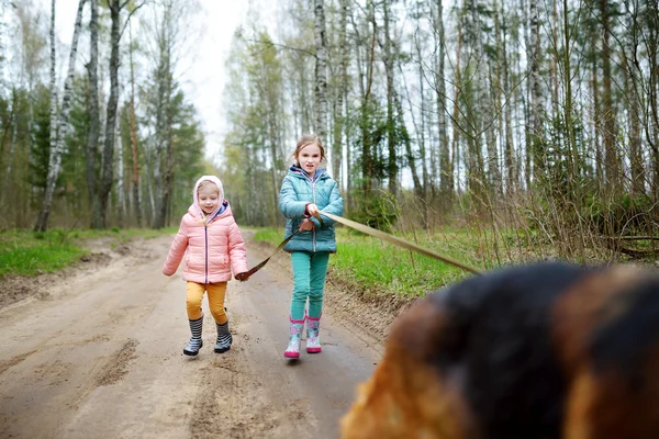 Schwestern gehen mit ihrem Hund spazieren — Stockfoto