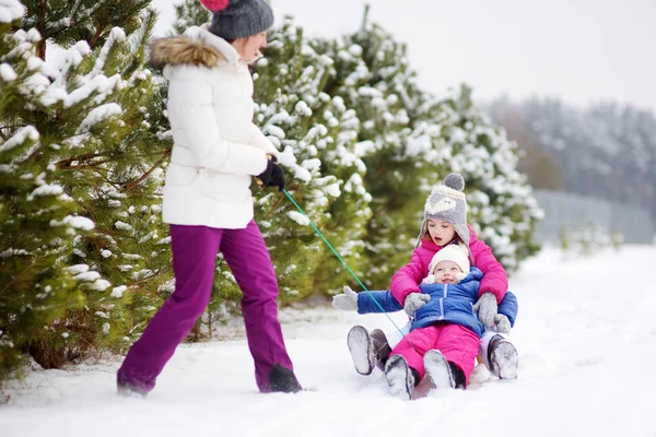  çabukluğu binmek zevk kız 