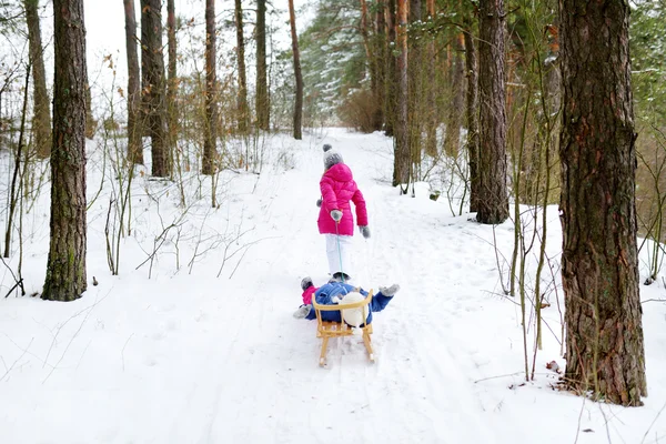 Hermanas disfrutando de paseo en trineo — Foto de Stock