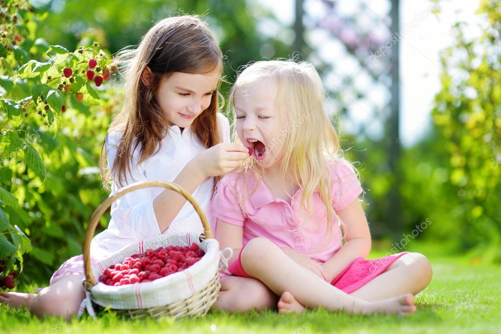  little sisters picking fresh berries 