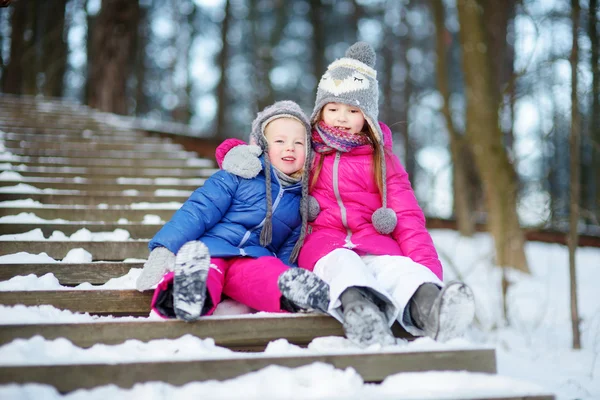 Hermanas divirtiéndose en parque de invierno —  Fotos de Stock