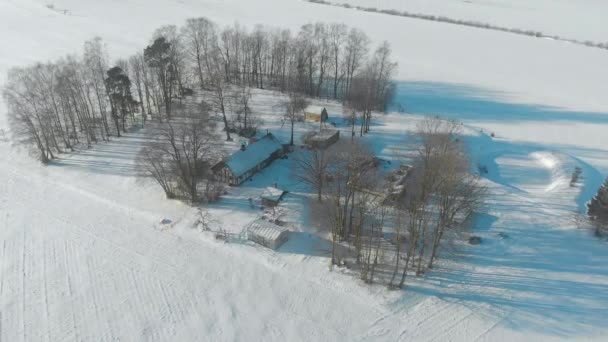 Piękny widok z lotu ptaka na małe gospodarstwo na polach pokrytych śniegiem — Wideo stockowe