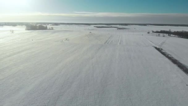 Prachtig uitzicht vanuit de lucht op besneeuwde velden met een tweebaans weggetje tussen de bomen — Stockvideo