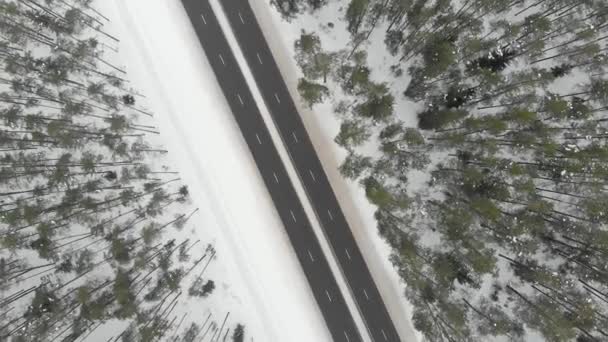 İki şeritli karla kaplı ormanın yukarıdan aşağıya dönen manzarası — Stok video
