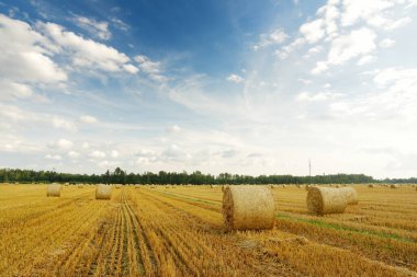 Farklı ekinlerden oluşan tarımsal parsellerin manzarası. Saman balyası tarlaları ve Litvanya 'nın tarım arazileri. Güneşli yaz akşamı.