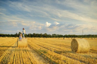 Sevimli genç kız kardeşler bir yaz günü buğday tarlasında eğleniyorlar. Hasat zamanı saman balyası tarlasında oynayan çocuklar. Çocuklar dışarıda günbatımının keyfini çıkarıyorlar. Litvanya 'da mahsul hasat etmek.