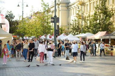 VILNIUS, LITHUANIA - 5 Eylül 2020: Litvanya ulusal topluluklarından ustaların sanatlarını, zanaatlarını, ulusal gelenekleri ve geleneklerini sundukları yıllık Uluslar Fuarı 'na katılan insanlar.