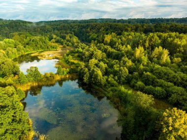 Yazın güzel bir orman manzarası. Güneşli yaz gününde yeşil ağaçlar ve nehir. Litvanya, Vilnius 'taki şehir parkı manzarası.