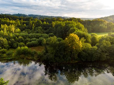 Yazın güzel bir orman manzarası. Güneşli yaz gününde yeşil ağaçlar ve nehir. Litvanya, Vilnius 'taki şehir parkı manzarası.
