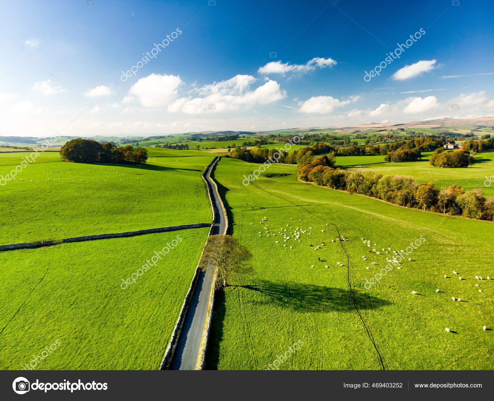 영국의 끝없는 농장을 공중에서 내려다볼 수있었다 에메랄드같은 아름다운 — 스톡 사진 © MNStudio #469403252, image size:1600x1299