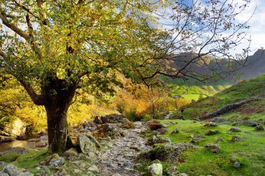 Stickle Ghyll 'in dalgalı suları, Cumbria, İngiltere' de bulunan Lake District 'de. Büyük Langdale Vadisi 'ndeki popüler turistik yerler. Buzul kurdele gölleri ve engebeli dağlarıyla ünlüdür..