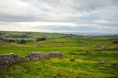 İngiltere 'nin kuzeyindeki Yorkshire Dales Ulusal Parkı' nda kireçtaşı çitler ve bitmeyen yemyeşil otlaklar..