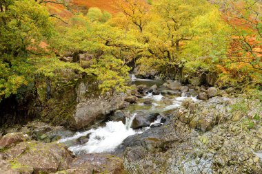 Stonethwaite Beck 'in vahşi suları Langstrath Beck ve Greenup Gill' in kavşağında kurulmuş küçük bir nehirdir. Cumbria, İngiltere 'nin güzel doğasını keşfediyor..
