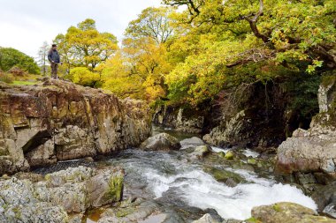Stonethwaite Beck 'in vahşi suları Langstrath Beck ve Greenup Gill' in kavşağında kurulmuş küçük bir nehirdir. Cumbria, İngiltere 'nin güzel doğasını keşfediyor..
