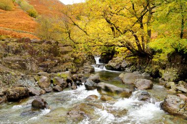 Stonethwaite Beck 'in vahşi suları Langstrath Beck ve Greenup Gill' in kavşağında kurulmuş küçük bir nehirdir. Cumbria, İngiltere 'nin güzel doğasını keşfediyor..