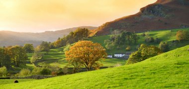 Endless lush pastures and farmlands of England. Beautiful English countryside with emerald green fields and meadows. Rural landscape on sunset. clipart