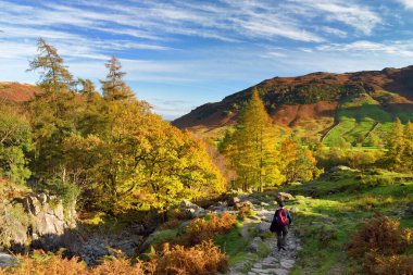 Lake District 'teki Büyük Langdale Vadisi' ni keşfeden erkek yürüyüşçü. Buzul kurdele gölleri ve engebeli dağlarıyla ünlüdür. Cumbria, Kuzey Batı İngiltere 'de popüler tatil beldesi.