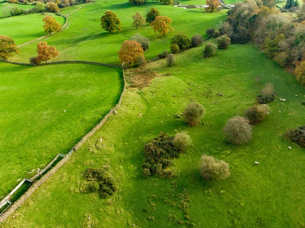 Вид Воздуха Бесконечные Пышные Пастбища Сельхозугодия Англии Английская Деревня Изумрудно — стоковое фото