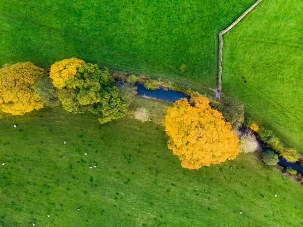 在空中俯瞰着无边无际的繁茂草原和英格兰的农田 美丽的英国乡村 绿油油的田野和草地 日落时分的乡村风景 — 图库照片