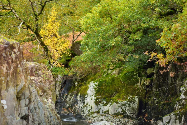 Wild Waters Stonethwaite Beck Small River Formed Confluence Langstrath Beck — Stock Photo, Image