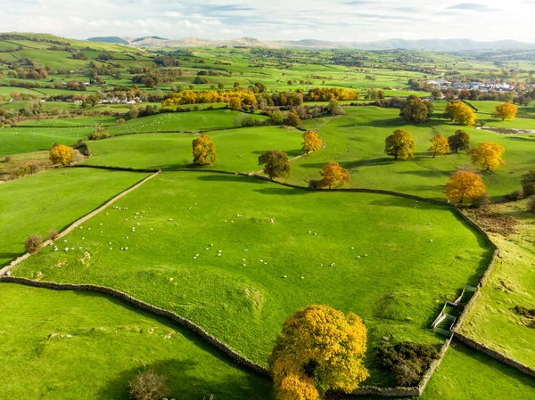 在空中俯瞰着无边无际的繁茂草原和英格兰的农田 美丽的英国乡村 绿油油的田野和草地 日落时分的乡村风景 — 图库照片