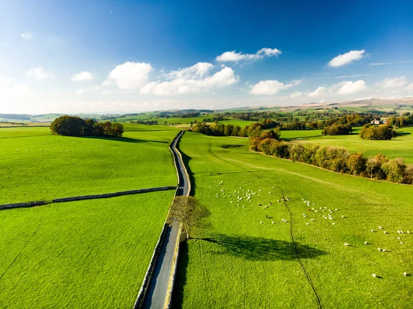 Вид Воздуха Бесконечные Пышные Пастбища Сельхозугодия Англии Английская Деревня Изумрудно — стоковое фото
